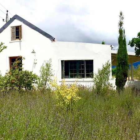 Designer Farm Cottage on Farm Franschhoek Eksteriør billede