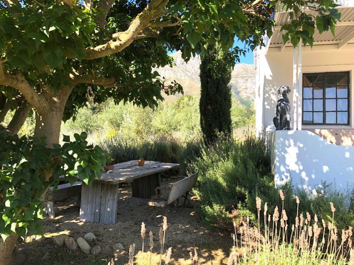 Designer Farm Cottage on Farm Franschhoek Eksteriør billede