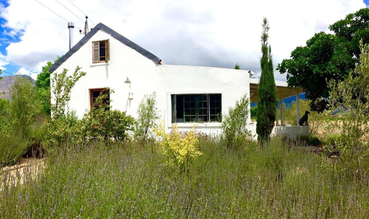 Designer Farm Cottage on Farm Franschhoek Eksteriør billede